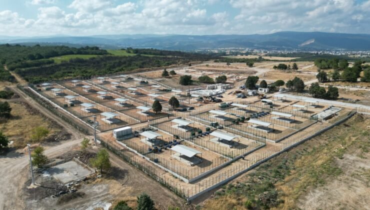 Büyükşehir Belediyesi’nden Sokak Hayvanlarına Yeni Yuva