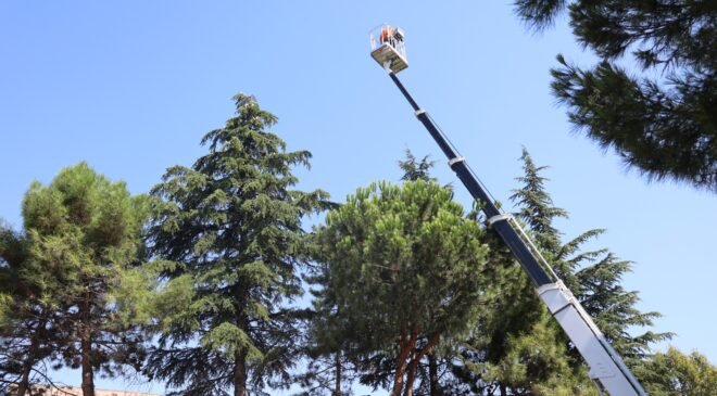 Osmangazi’de Yeşil Alanlar Titizlikle Korunuyor
