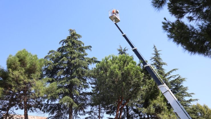Osmangazi’de Yeşil Alanlar Titizlikle Korunuyor
