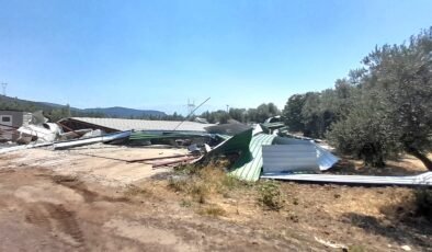 Osmangazi’de Zeytinliğe Yapılan Kaçak Depoya Geçit Yok