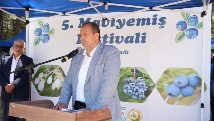 İznik’te 5. Maviyemiş Festivaline Vatandaşlardan Yoğun İlgi