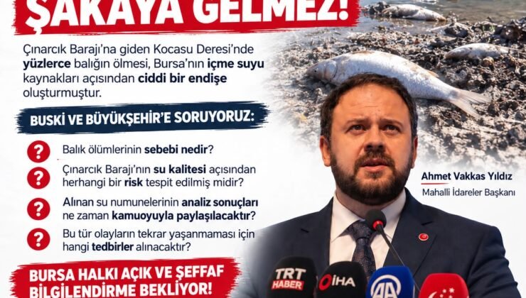 Bursa’nın Suyu Şakaya Gelmez