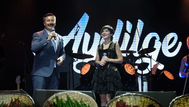 Yenişehir’de Aydilge Konseri