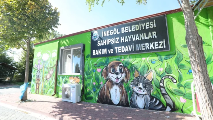İnegöl’de En Renkli Hayvanlar Günü